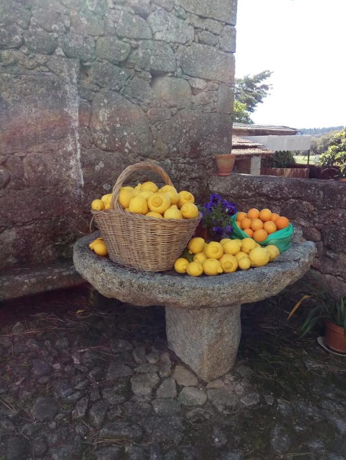 Casa Do Balcao Pension Alcains Buitenkant foto